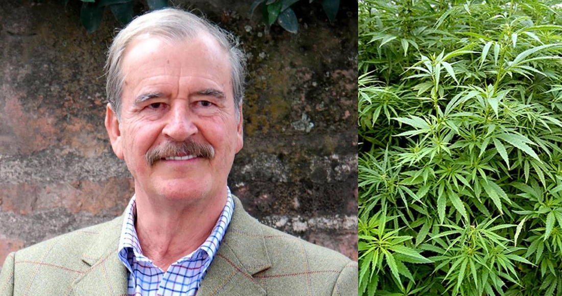 Fox, quien asegura que «vive al día» será socio inversionista de una empresa de cannabis