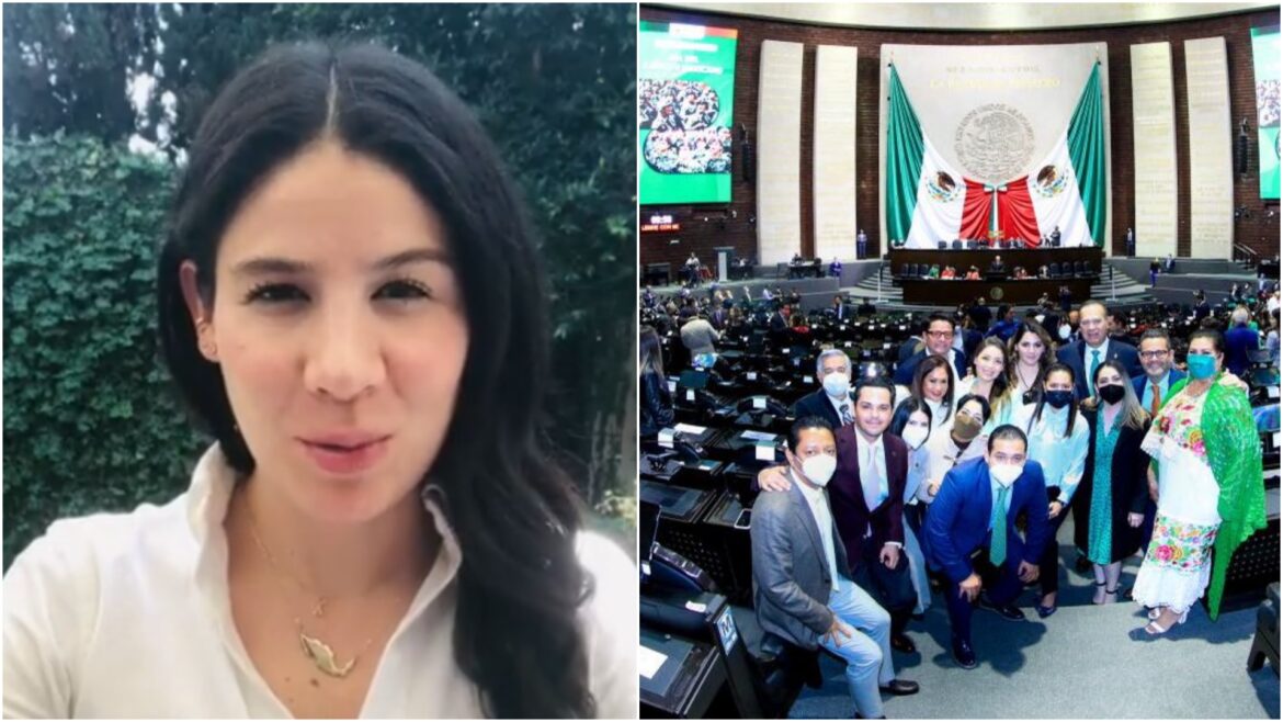PVEM expulsa a la diputada Alexis Gamiño por votar en contra de la Reforma Eléctrica