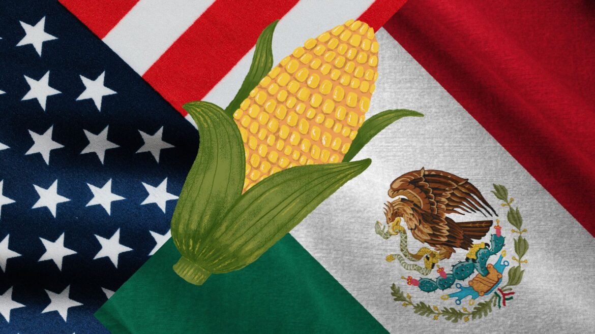 México defenderá su decreto sobre el maíz transgénico en Panel del T-MEC