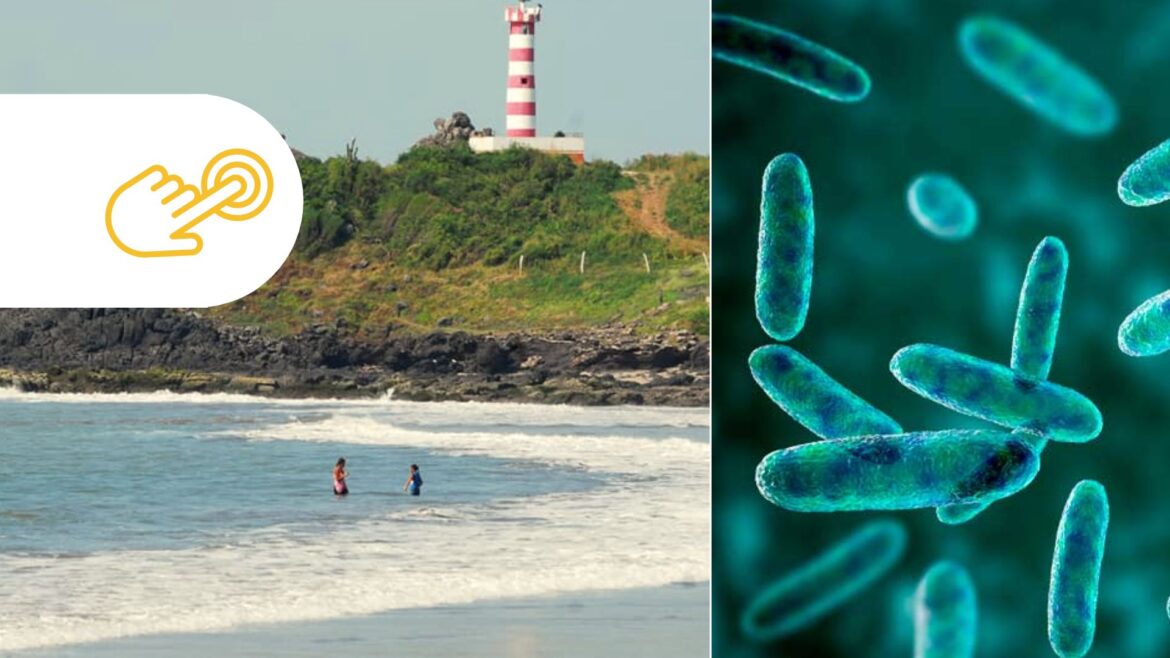 6 playas de México rebasan los límites máximos de bacterias fecales: Cofepris