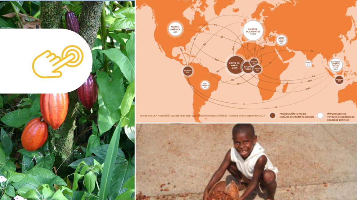 El cultivo del cacao sigue presionado por la deforestación, el cambio climático y la explotación infantil