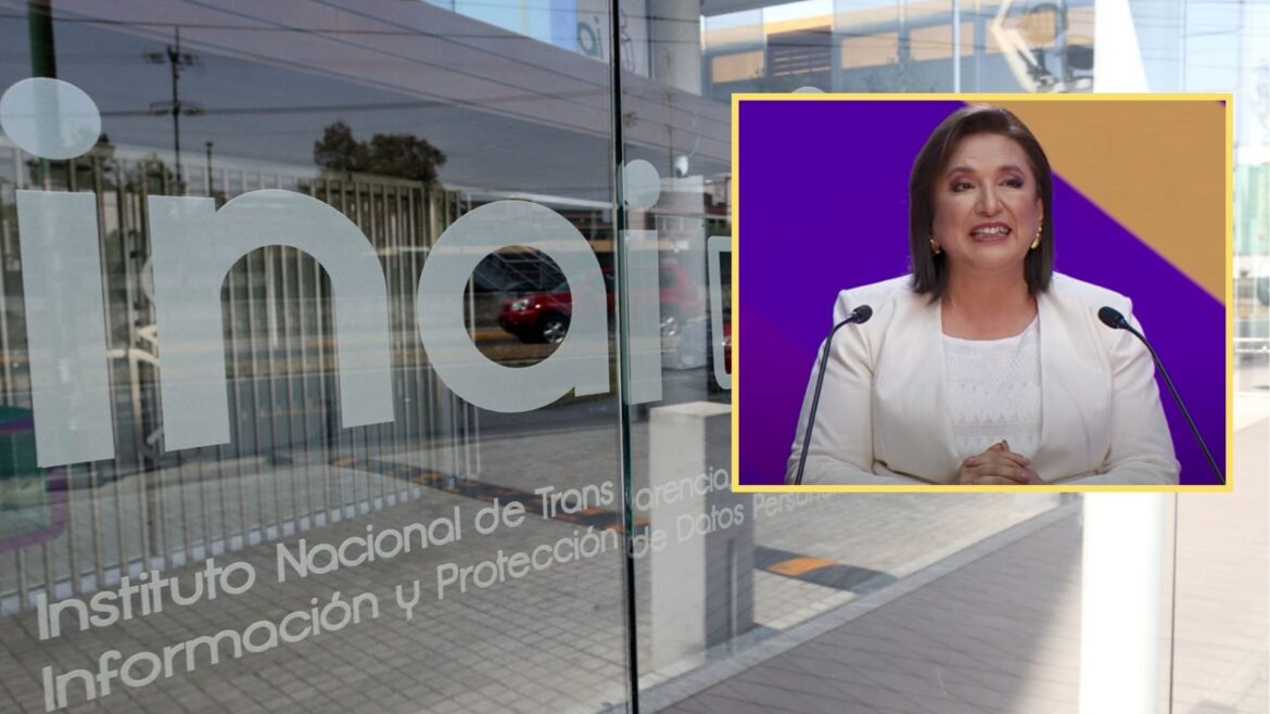 El INAI publica 4 contratos que entregó a empresas vinculadas a Xóchitl Gálvez entre 2012 y 2018