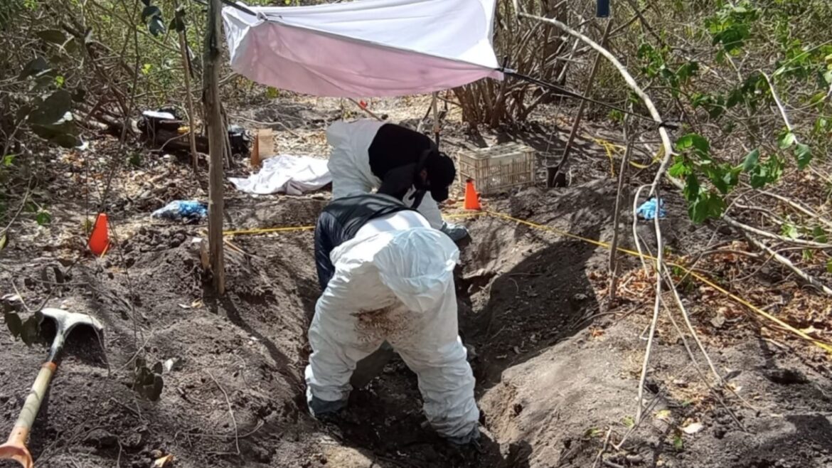 La Fiscalía de Colima reporta el hallazgo de 29 fosas clandestinas en Tecomán