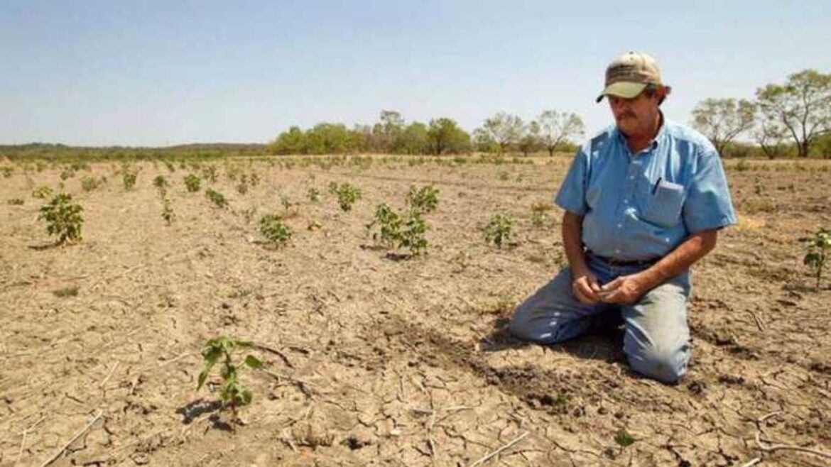 La economía de México se mantiene estancada; la sequía golpea la producción agropecuaria
