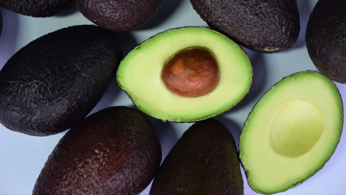 Embada de EU en México reconoce el programa de regulación de productores de aguacate en Michoacán