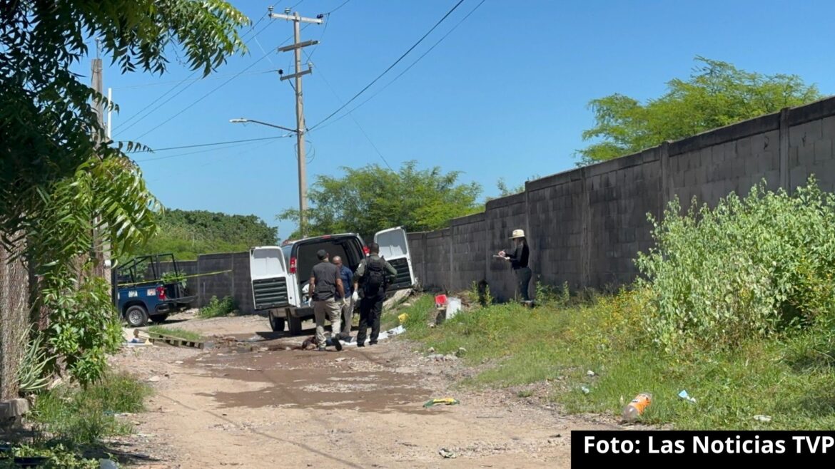 A raíz de la ola de violencia en Sinaloa, la Fiscalia local informa que suman 6 cuerpos sin identificar