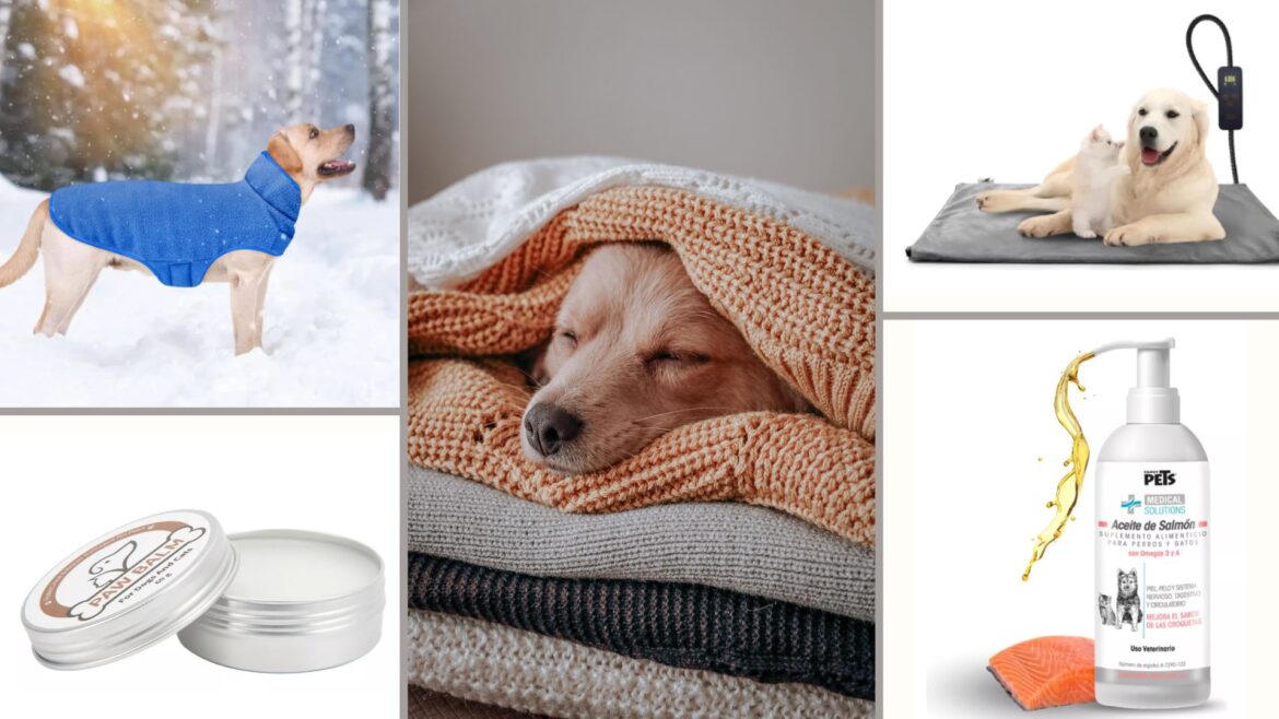 Guía de Invierno: los mejores productos para mantener a tu perro cálido y feliz