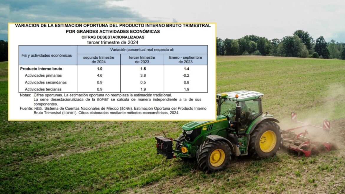 México registra crecimiento de 1.0 % en el PIB durante el tercer trimestre de 2024