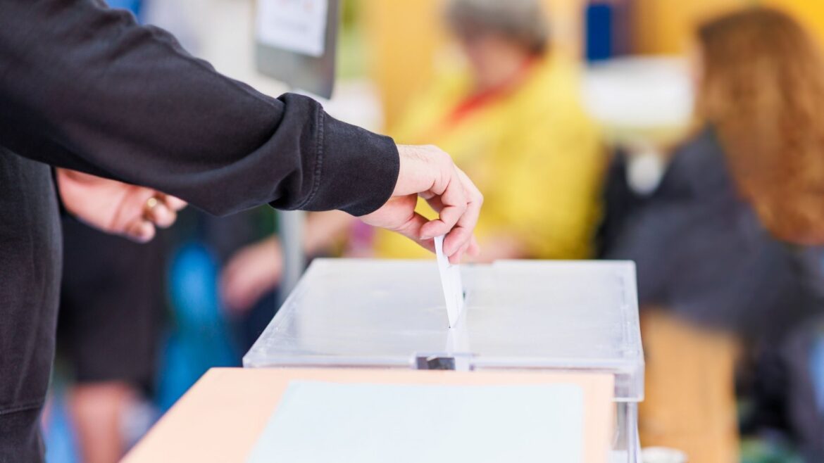 La necesidad de la representación popular en la democracia: una defensa frente a la sobrecarga ciudadana