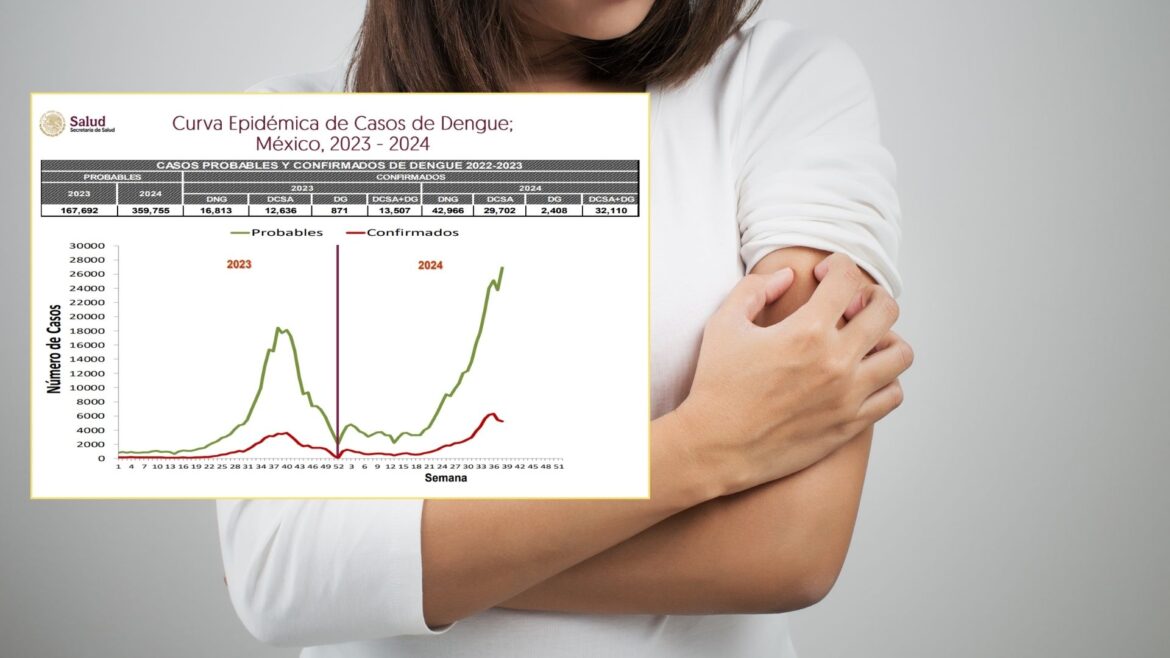 Dengue aumenta en México: más de 75 mil contagios confirmados y 182 muertes en 2024