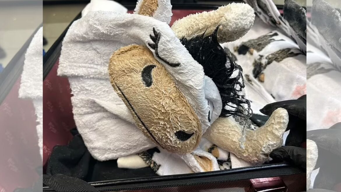 Un hombre intenta viajar con pijama en forma de vaca impregnada con metanfetamina en el aeropuerto de Los Ángeles