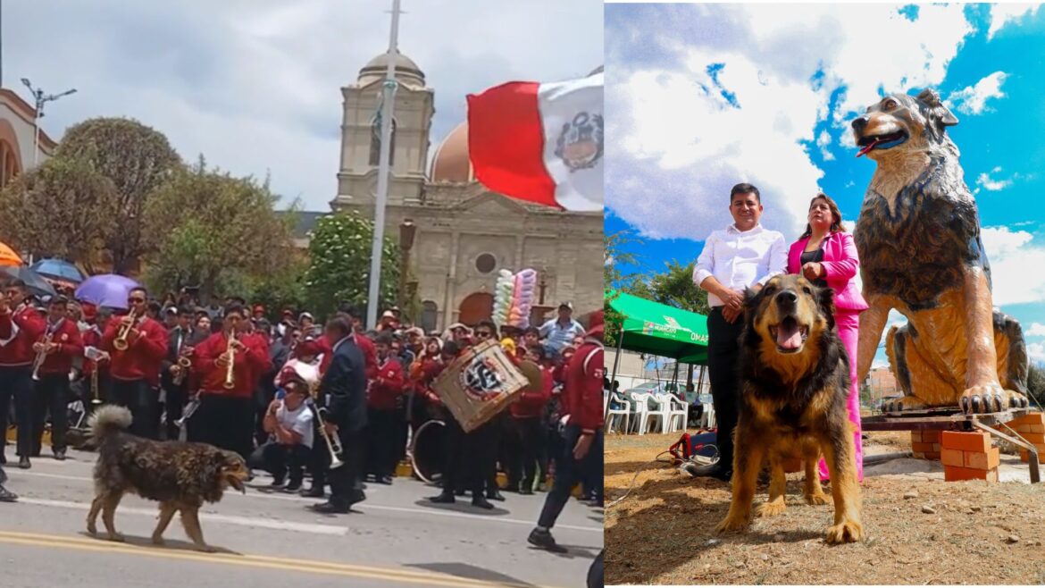 «Oso», el perro célebre en Huancayo por participar en marchas, es reconocido con estatua al estilo «Hachiko»