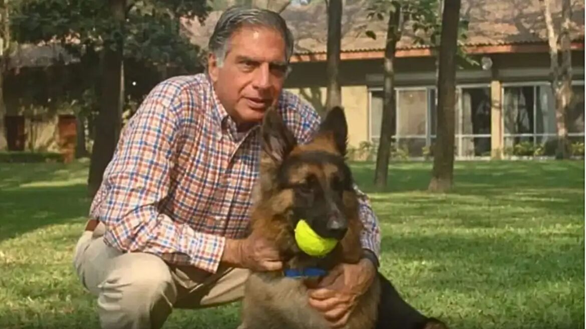 Ratan Tata deja 118 millones de dólares a su perro en su testamento, asegurando su bienestar para siempre