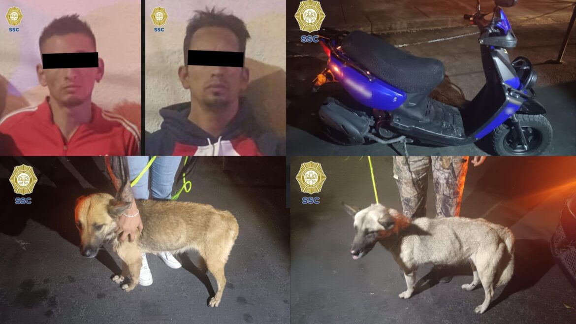 Dos sujetos son vinculados a proceso por arrastrar a dos perritos en una moto en la CDMX