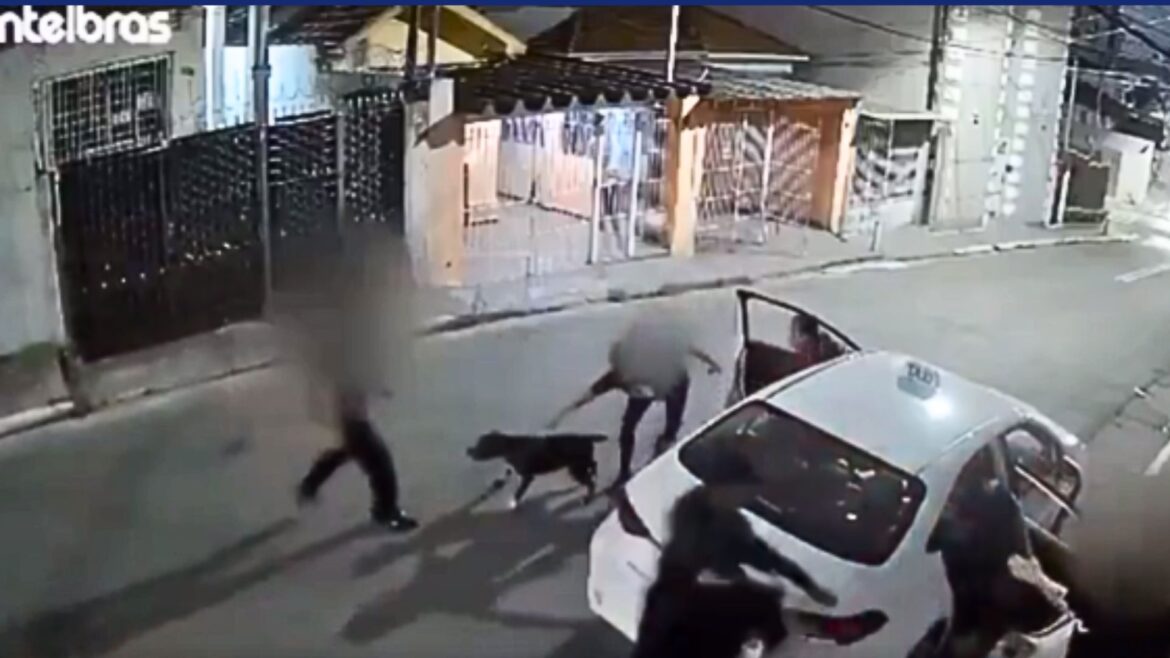 Mujer suelta a su perro pitbull para pelear con delincuentes durante un robo en São Paulo