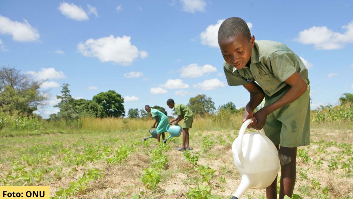 UNICEF alerta sobre el futuro de los niños en 2050: crisis climática, digital y demográfica amenazan sus derechos