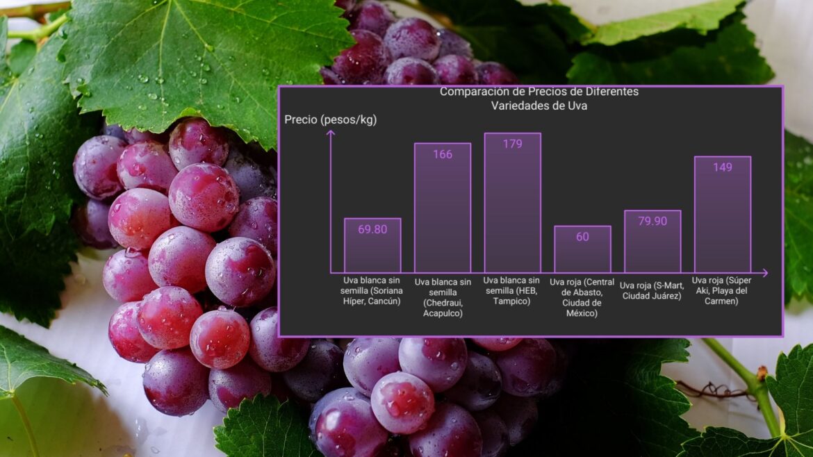 Profeco alerta sobre variación de precios de las uvas para Año Nuevo: diferencias de hasta 110 pesos por kilogramo