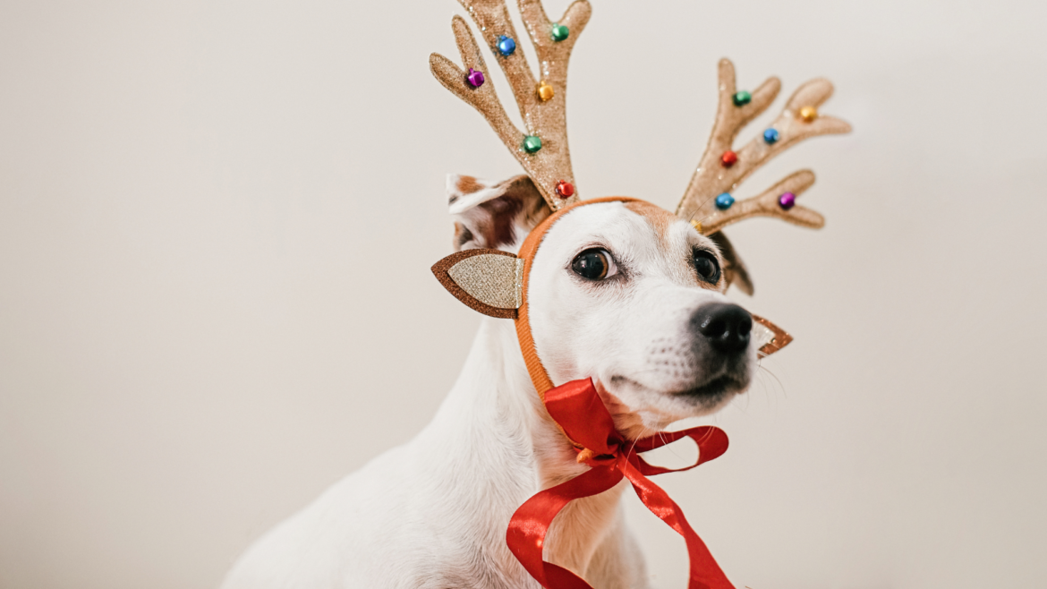 Redefiniendo la Navidad: Cómo resignificar las fiestas decembrinas cuando te resultan agoviantes