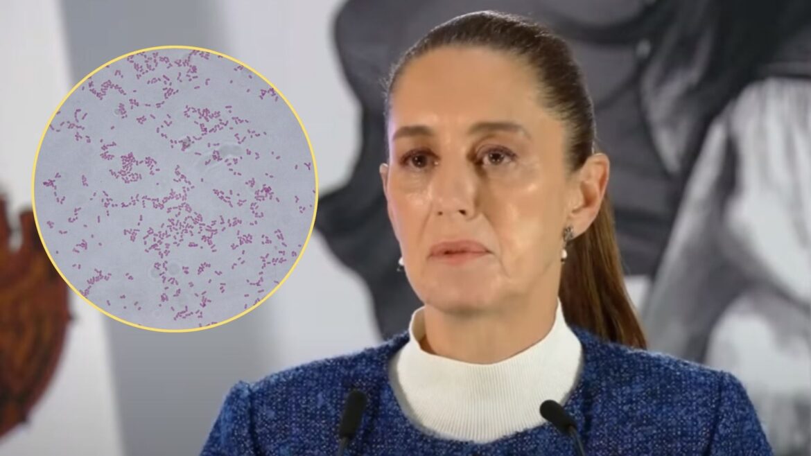 Sheinbaum ordena suspender proveedor tras brote de Klebsiella oxytoca que dejó 13 muertos