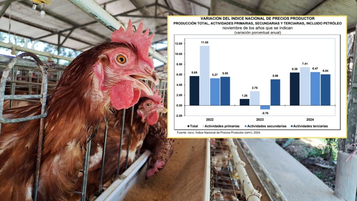 Precios productores en México suben 6.38 % anual en noviembre: destacan alzas en aves, transporte y manufacturas