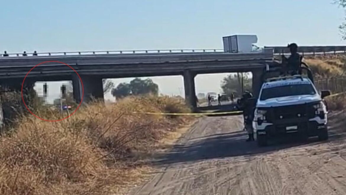 Hallan tres cuerpos colgados en un puente vehicular en Salamanca: la violencia se intensifica