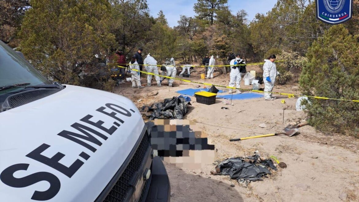 En un fin de semana, autoridades hallan 56 cuerpos en fosas clandestinas en Chihuahua y 10 cuerpos más en Sonora