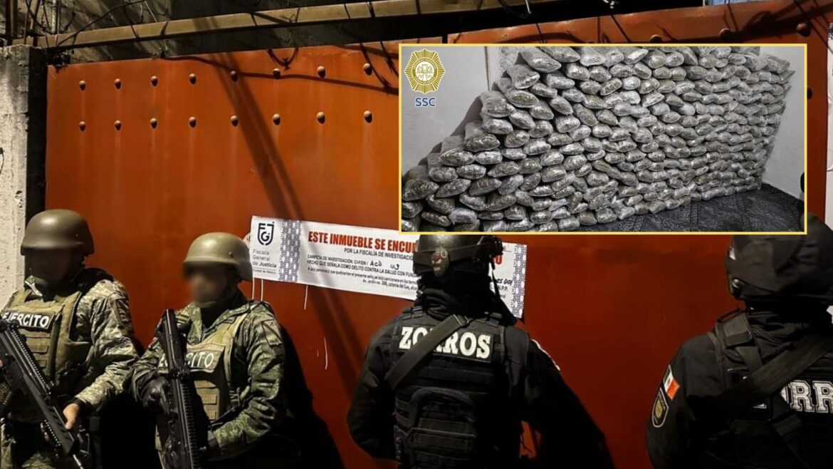 Megadecomiso: Aseguran media tonelada de marihuana en Cuajimalpa tras agresión que dejó dos muertos