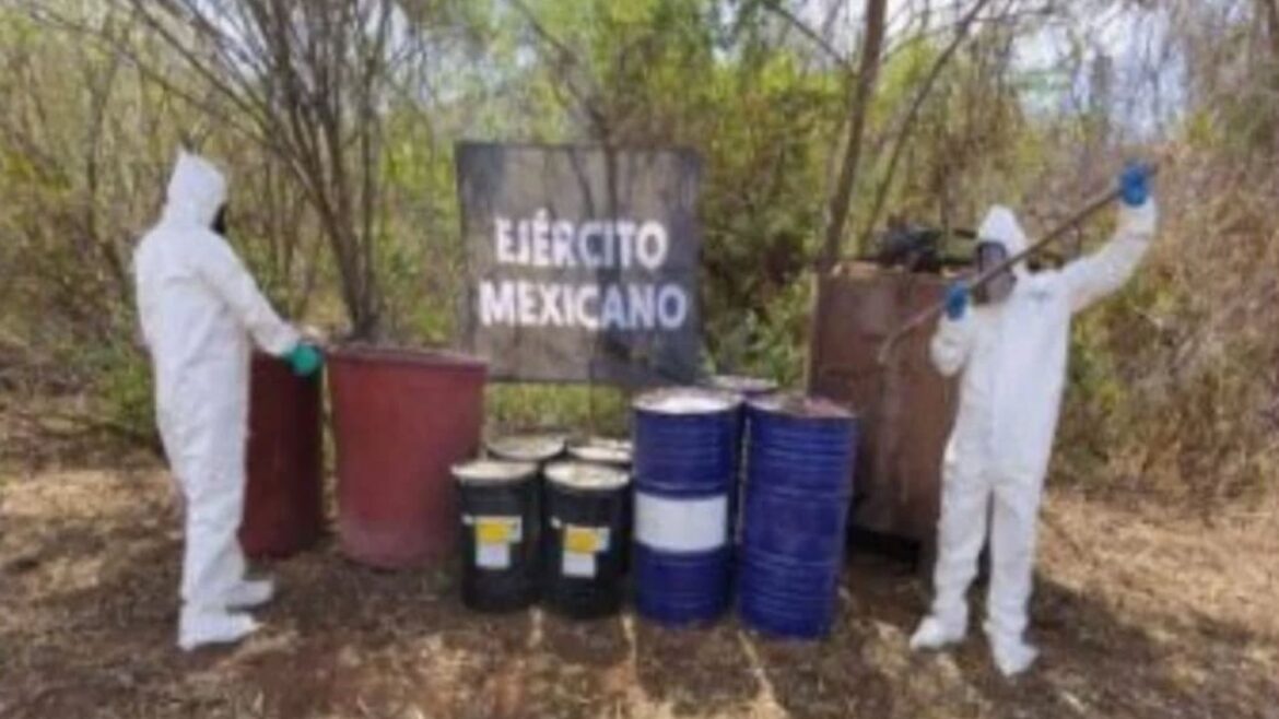 Nueve laboratorios clandestinos son asegurados en Sinaloa durante operativo militar