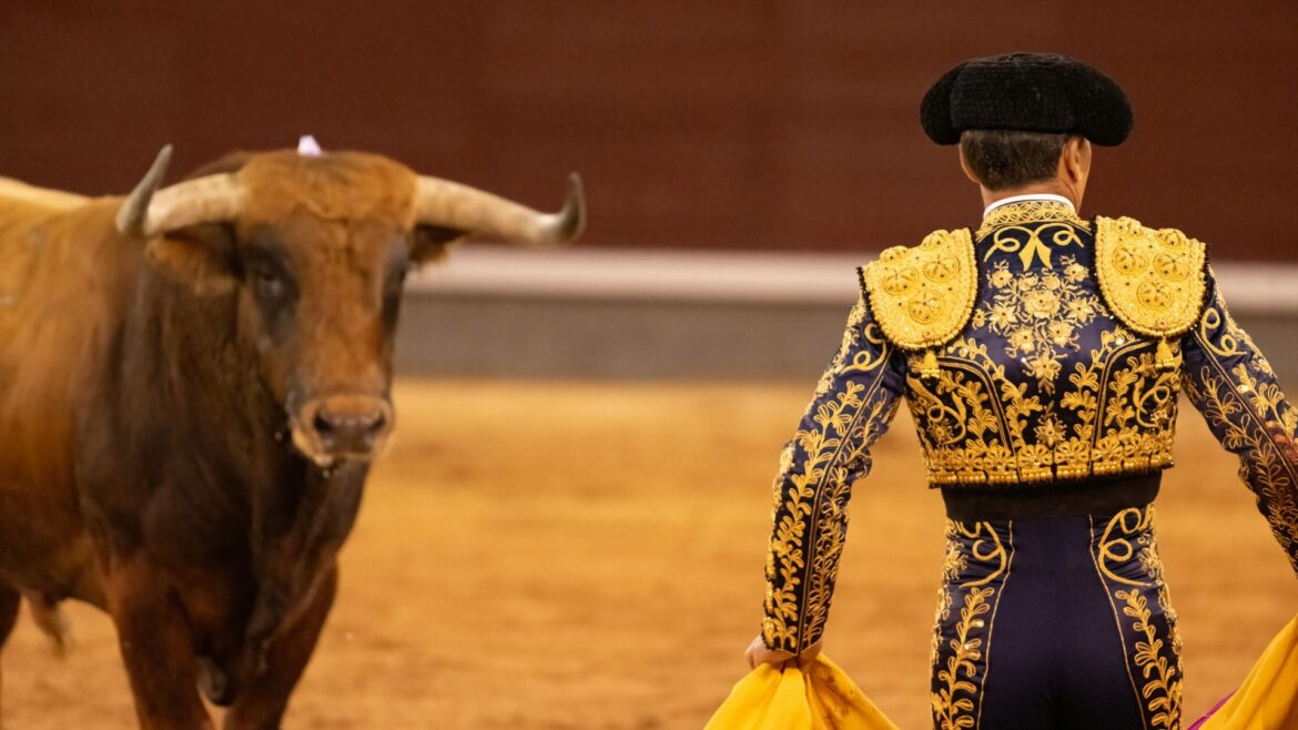 Clara Brugada propone transformar las corridas de toros en la CDMX con un modelo libre de violencia