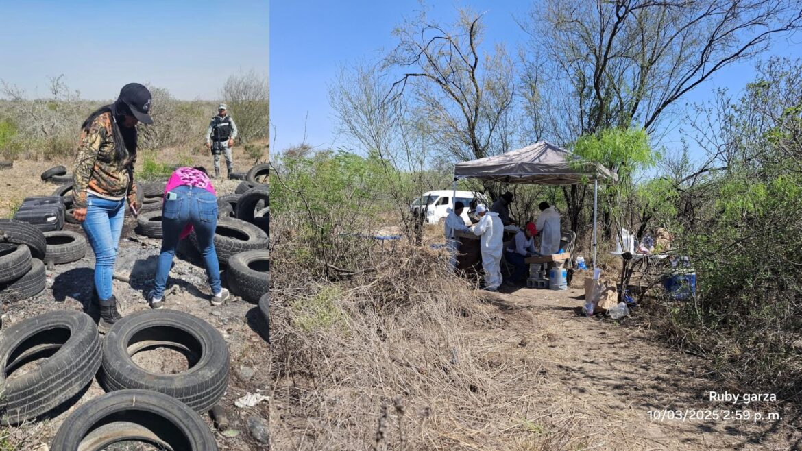 Madres buscadoras descubren otro campo de exterminio en Reynosa con restos humanos calcinados