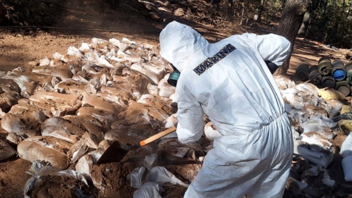 Autoridades desmantelan mega laboratorio de drogas sintéticas en Zacatecas