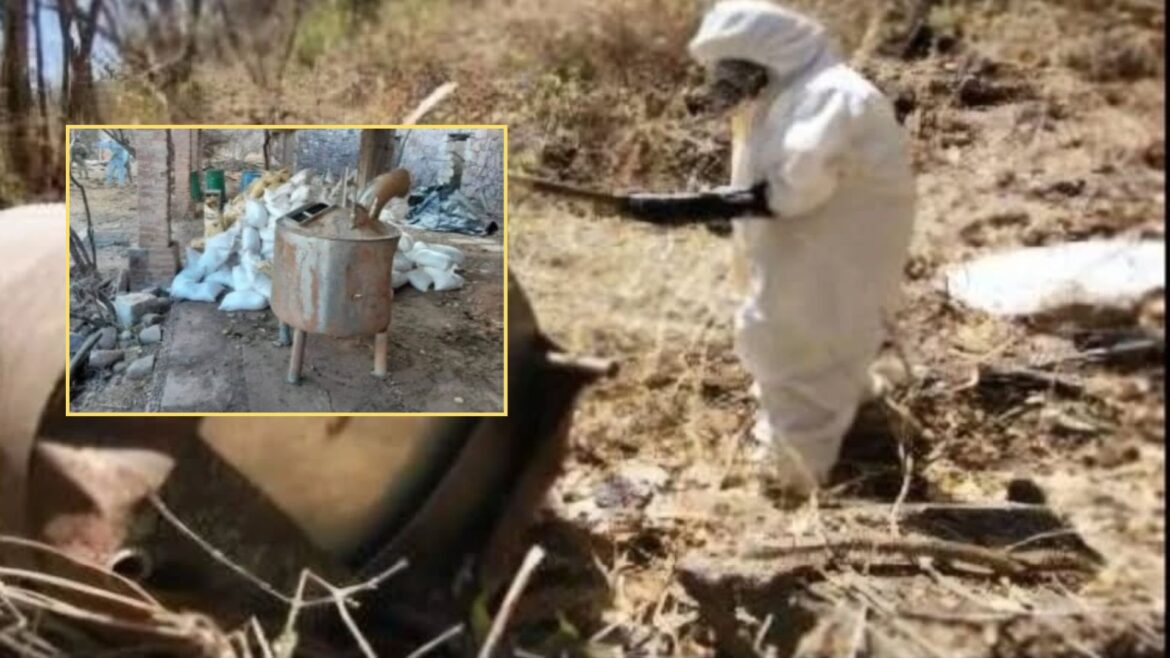Ejército desmantela 8 laboratorios clandestinos en Sinaloa en operativo conjunto de fuerzas federales y estatales