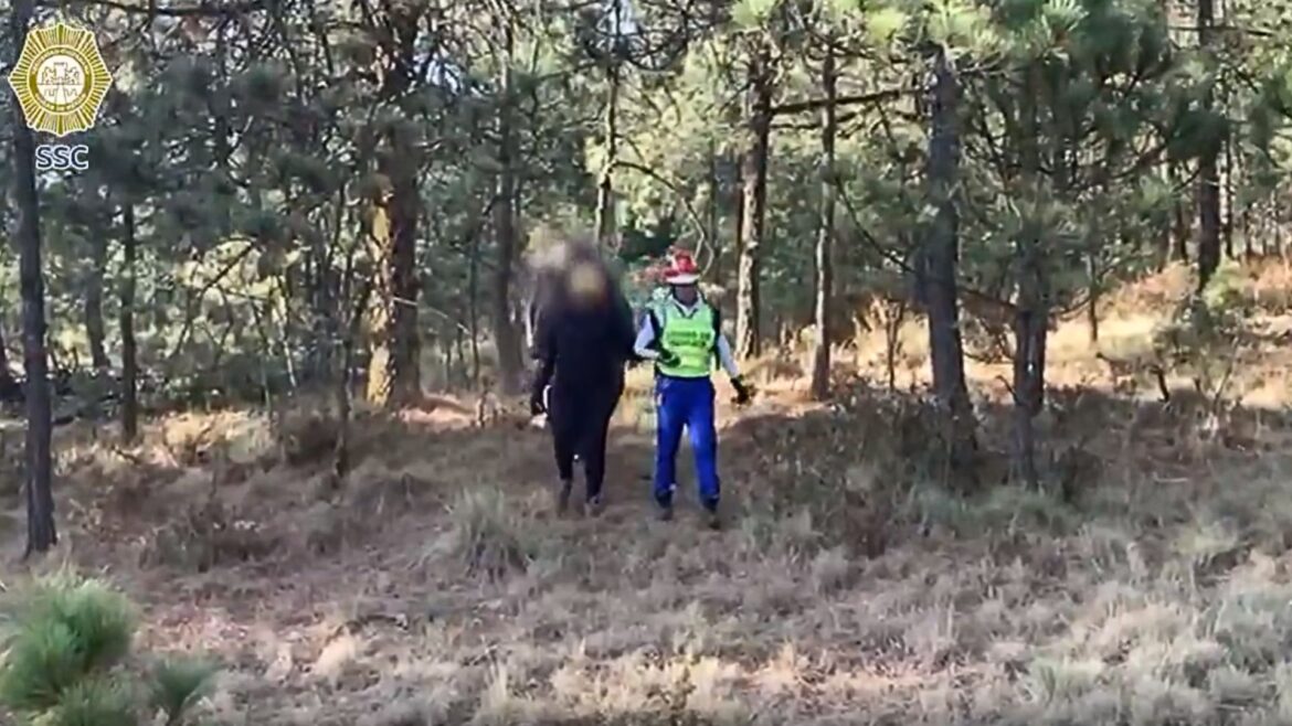 ERUM rescata a tres personas extraviadas en el Parque Nacional Cumbres del Ajusco