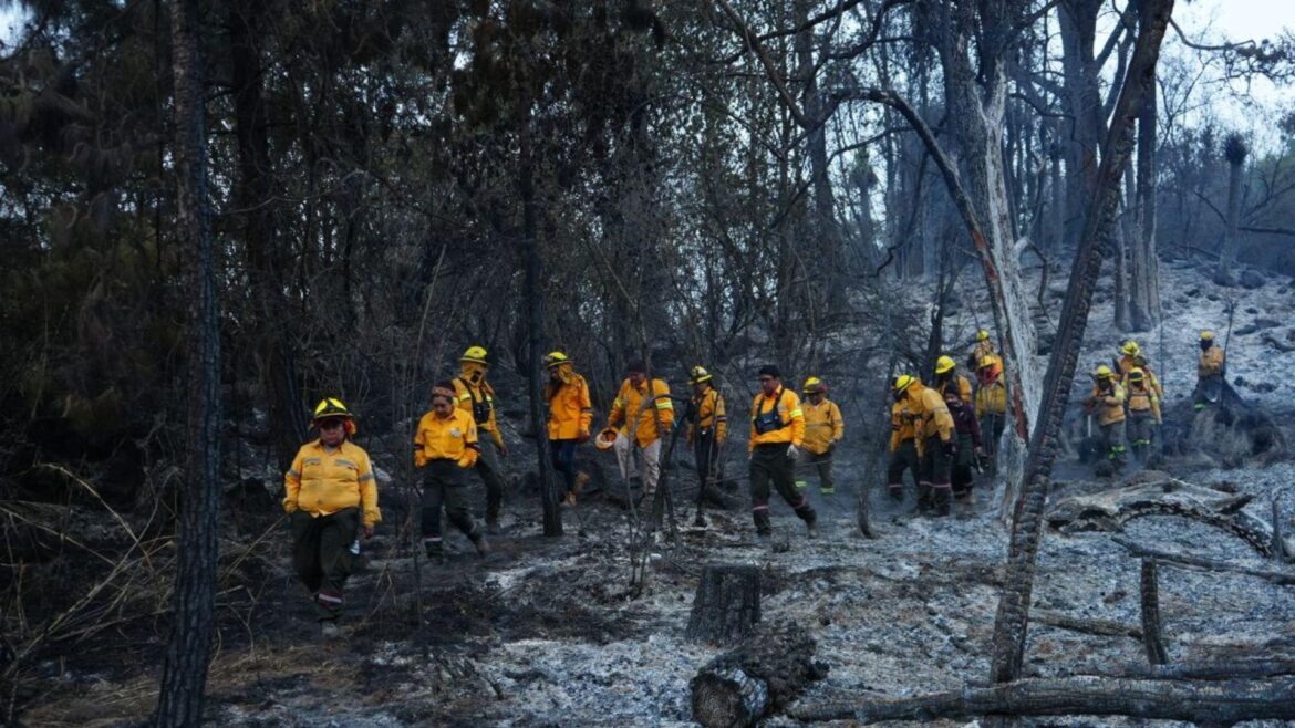 Brigadistas controlan incendio forestal en Las Palomas, de la alcaldía Tlalpan, tras tres días de trabajo intensivo