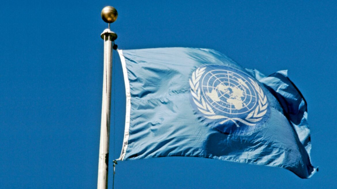 ONU urge a México a garantizar consulta pública y derechos humanos en nueva Ley de Telecomunicaciones