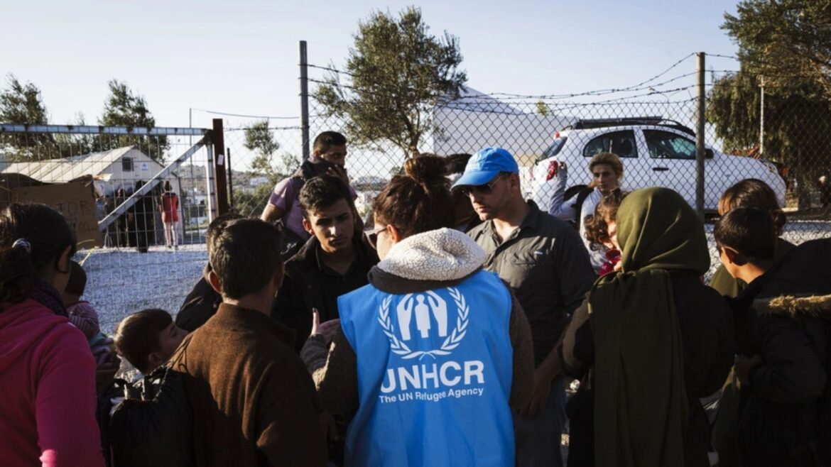 ACNUR cierra oficinas en México y despide a 190 empleados por crisis económica