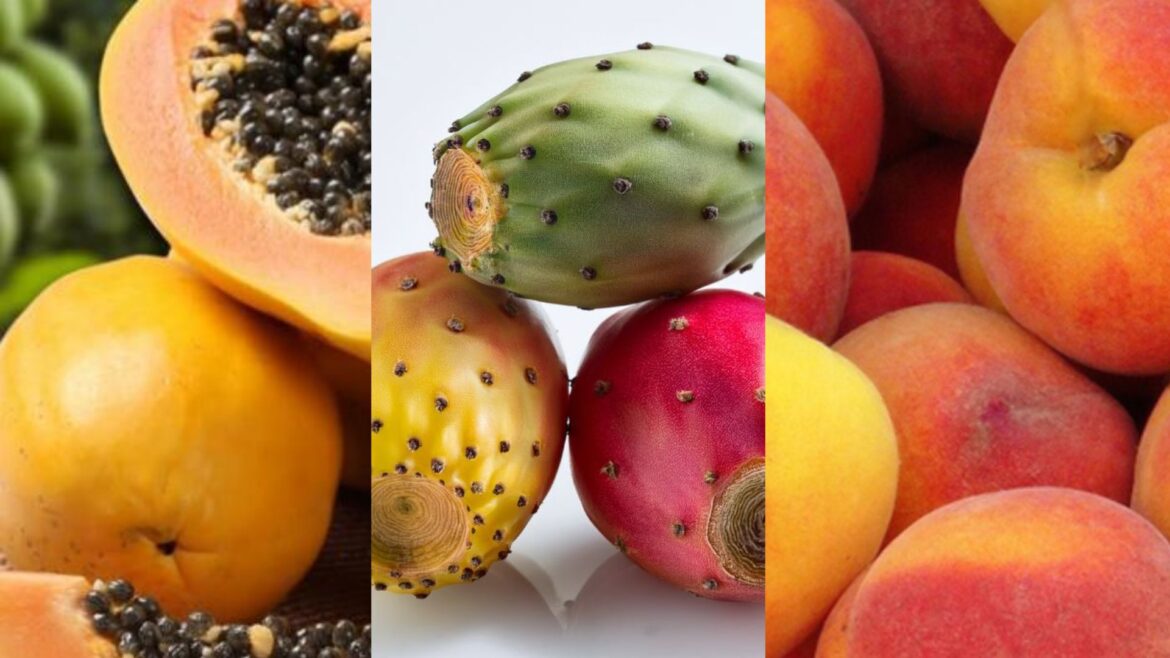 Frutas de temporada en septiembre: granada, papaya, pera, tuna y durazno entre las principales opciones de consumo