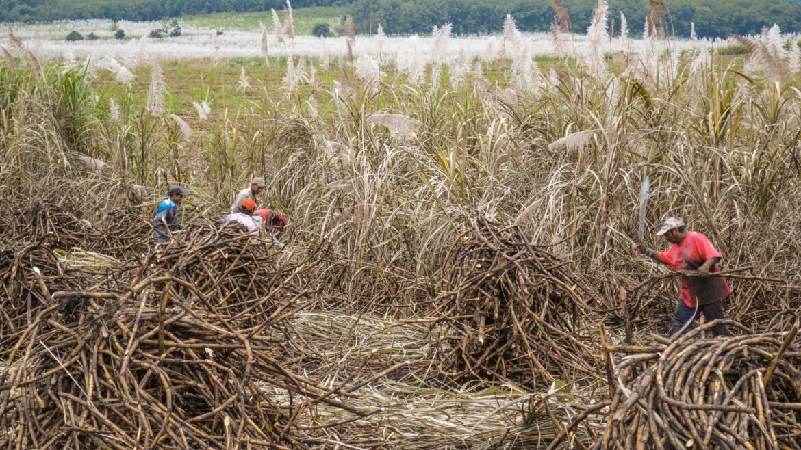 Sader impulsa Estrategia Integral y Certificado Laboral para mejorar condiciones de los jornaleros agrícolas
