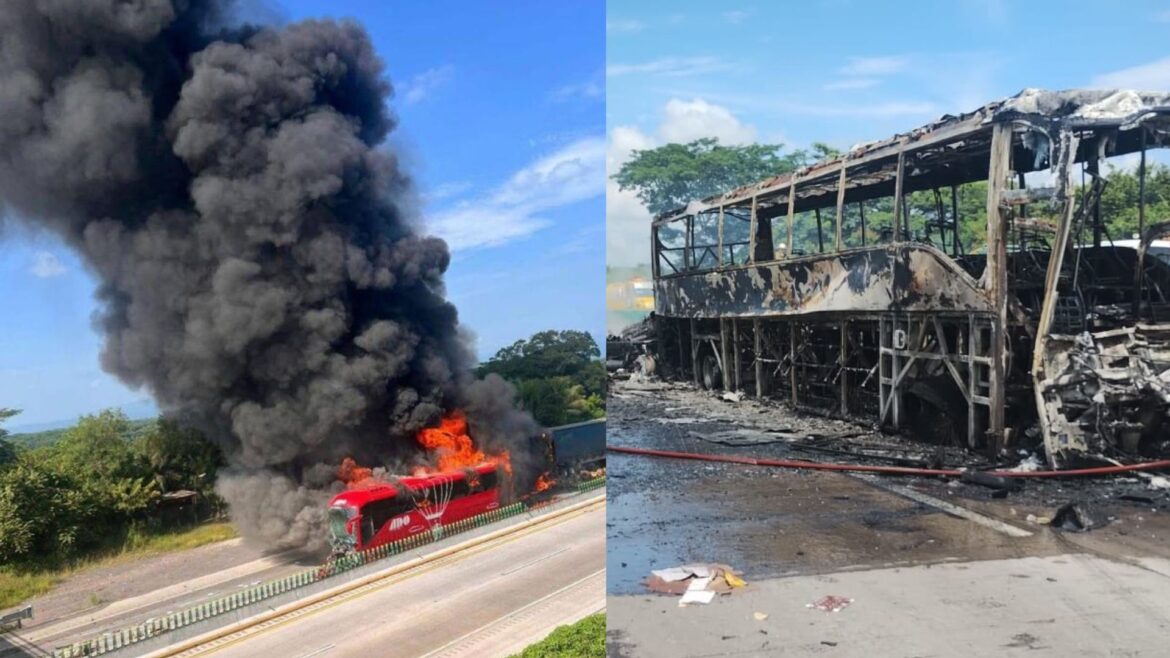 Autobús ADO se incendia tras choque con tráiler en Veracruz; 14 heridos