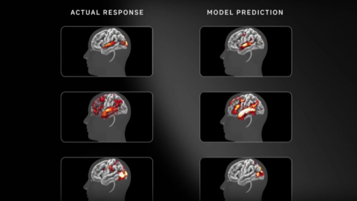 Meta presenta un modelo que predice actividad cerebral humana a partir de video, audio y lenguaje