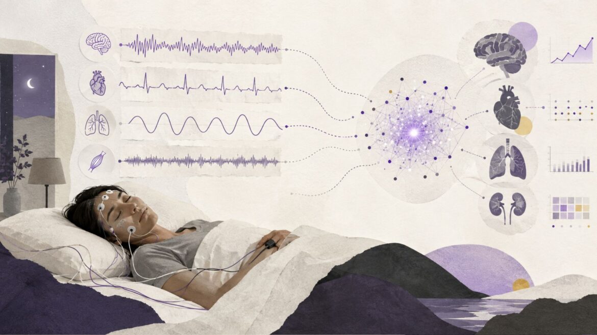 Una IA aprende a leer el cuerpo mientras duerme y anticipa el riesgo de más de 100 enfermedades